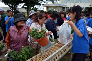 多くの市民が訪れ生徒が丹精を込めて栽培した菊を買い求めた＝２２日、鏡原中学校