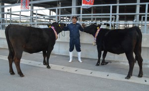 肉用牛部門で所有する２頭とも優秀賞（３席）に選ばれた荷川取さん＝７日、糸満市の南部家畜セリ市場