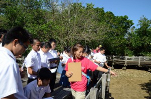 マングローブが生息する地域の環境や生態系について学習した出前授業＝６日、川満のマングローブ木道