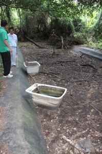 昨年夏以降、水が枯渇した状況になっている人工貯水池の一つ竜の池。緊急対策として古い浴槽を設置し職員が水を補給して野鳥の水飲み場を確保している＝６日、大野山林内