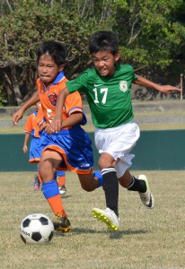 宮古毎日新聞杯少年サッカーが開幕。初日は計３６チームが予選リーグで熱戦を繰り広げた＝８日、市城辺総合運動公園