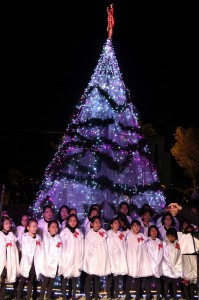 クリスマスツリーのイルミネーションをバックに歌うみやこ少年少女合唱団＝１３日、カママ嶺公園多目的広場