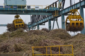 高品質取引が続く沖縄製糖宮古工場の原料＝１７日、下地上地