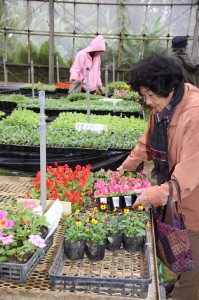 多くの市民が訪れお気に入りの花の苗を買い求めていた＝４日、みどり推進課