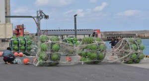 設置前の中層型浮き魚礁（浮き球は緑色）＝２０日、佐良浜漁港