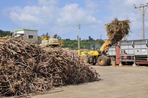 製糖操業１カ月を迎えた宮古製糖城辺工場。品質は上昇を続けている＝７日、城辺砂川