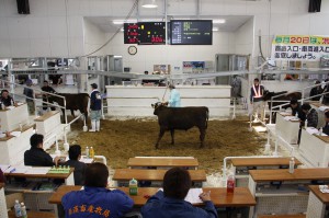 販売実績が過去最高を更新した2014年度肉用牛競り