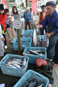 新鮮な魚類が水揚げされ活気づく佐良浜漁港＝伊良部（資料写真）