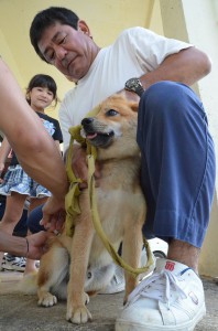 少しおびえる犬を飼い主が落ち着かせながら予防注射を受けさせていた＝１７日、野原越公民館