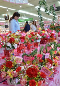 色とりどりの盛り花が陳列されている「母の日」コーナー＝９日、市内の量販店