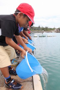 タマンを放流する児童たち＝１６日、狩俣漁港