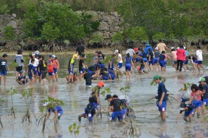 マングローブガサミ漁を体験する子供たち＝８日、伊良部南区