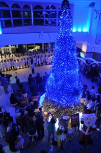 点灯と同時に会場は青色に染まり、会場は一足早くクリスマスムードに染まった＝２８日、ホテルブリーズベイマリーナ