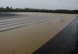 非常に激しい雨で冠水した畑＝１７日、上野