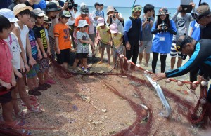子供たちは体長が長い魚を見て感嘆の声を上げていた＝２日、大神島西側の海岸