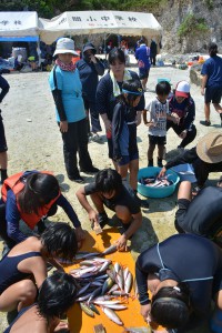 保護者らが見守る中、子どもたちは魚さばきに挑戦した＝３０日、池間島