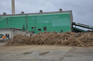 製糖操業１週間。原料の品質が上昇している＝２７日、多良間村塩川の宮糖多良間工場