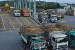 大型トラックが次々とキビを搬入＝１１日、沖縄製糖宮古工場