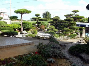第３４回「緑の街角賞」に輝いた池間幸弘さんの庭。バランスの取れた配樹が高く評価された＝伊良部池間添（市民運動実践協議会グリーン部会提供）