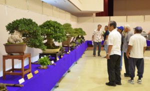 本番を前に準備が進められる会場では盆栽部門の審査が行われ入賞８作品が選ばれた＝２８日、市中央公民館