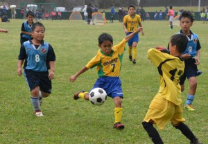 宮古毎日新聞杯全宮古少年サッカーが開幕。３部門２９チームの児童が予選リーグで争った＝４日、市城辺総合運動公園