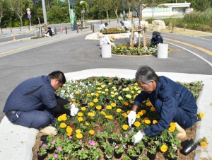 マリーゴールドなどを道路沿いの花壇に植え付ける参加者ら＝23日、ＪＴＡドーム宮古島近辺