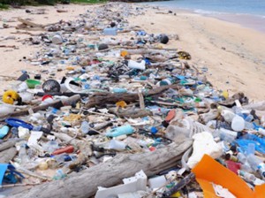 大量の漂着ゴミが散乱している、保良漁港脇海岸北（山口晴幸名誉教授提供）