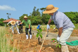 サガリバナの苗木を植樹する参加者＝24日、ヤーバルやすらぎの森
