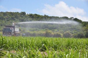 サトウキビ畑へのかん水作業が始まった＝８日、平良西原