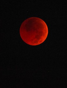 早朝の空に赤銅色の月が浮かんだ＝28日午前５時８分すぎ、平良下里（編集部・金子進撮影）