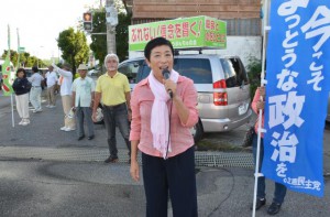 辻元氏（手前）が「県民と向き合う政治家はデニー」と訴え、支援を求めた＝20日、市内西里の交差点