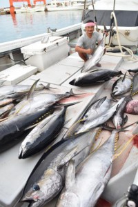 魚市場に運ばれる大物キハダマグロ＝10日、荷川取漁港