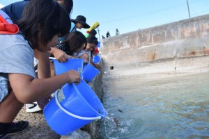 タマンの幼魚を放流する児童たち＝16日、池間島の水浜海岸