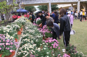 大勢の市民が訪れお気に入りの菊を買い求めた菊まつり＝16日、鏡原中