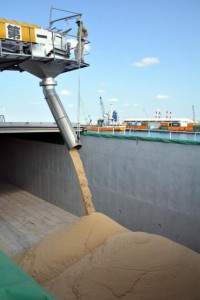 沖糖が原料糖を出荷した。初荷の１５００㌧を船倉に流し込んだ＝２９日、平良港