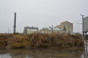 長雨の影響で先月29日から圧搾を停止している宮古製糖伊良部工場＝８日、伊良部島