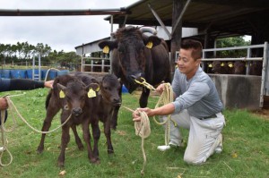 初の受精卵移植に成功した豊見城玄弘さんと産まれた雌牛。（左から）おおさかちゃん、なおみちゃん＝１３日、多良間村塩川