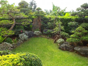 「緑の街角賞」に選ばれた島尻さんの庭（写真提供・市民運動実践協議会グリーン部会）