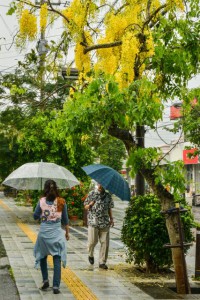 時折ぱらつく雨に、傘を差して歩く人の姿が見られた＝１６日、下里通り