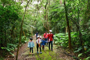 散策しながら自然を観察する参加者＝３日、大野山林