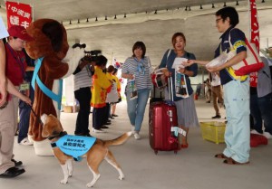 リーフレットを配布する関係者ら。探知犬のデモンストレーションも行われた＝31日、下地島空港