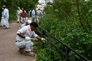 遊歩道に伸びた雑草を刈り取る参加者ら＝29日、パイナガマ公園