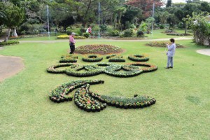 来年開催される東京オリンピック・パラリンピックを盛り上げる花文字＝２４日、市熱帯植物園