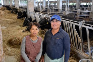 仲むつまじく畜産業を営む上地良淳さん（右）と妻の佳代子さん＝上野の牛舎