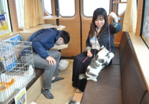 バスの中は猫と触れ合える癒やしの空間となっている＝28日、メイクマン宮古店