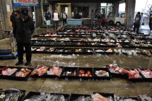 約20年ぶりに魚介類が所狭しと並ぶ＝４日、宮古島漁業協同組合の魚市場