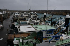 悪天候もあってか漁船には大漁旗は見られなかった＝11日、佐良浜漁港