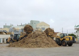 今期の原料搬入を終えた宮古製糖城辺工場。搬入量は11万６０４９トンだった＝31日、城辺砂川