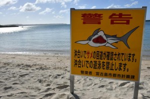 サメ目撃と沖合での遊泳禁止を伝える看板＝５日、パイナガマビーチ